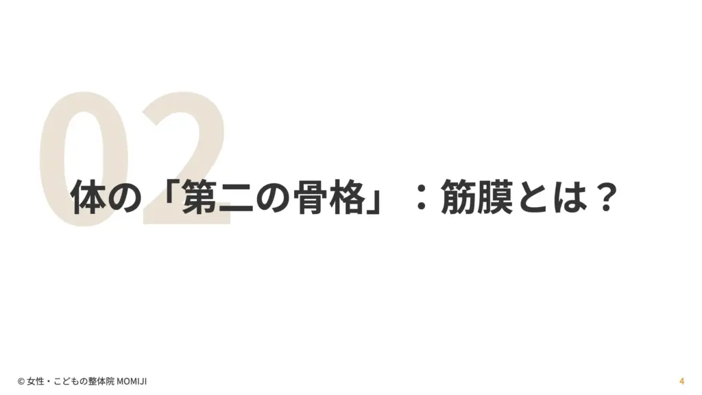 体の「第二の骨格」：筋膜とは？
