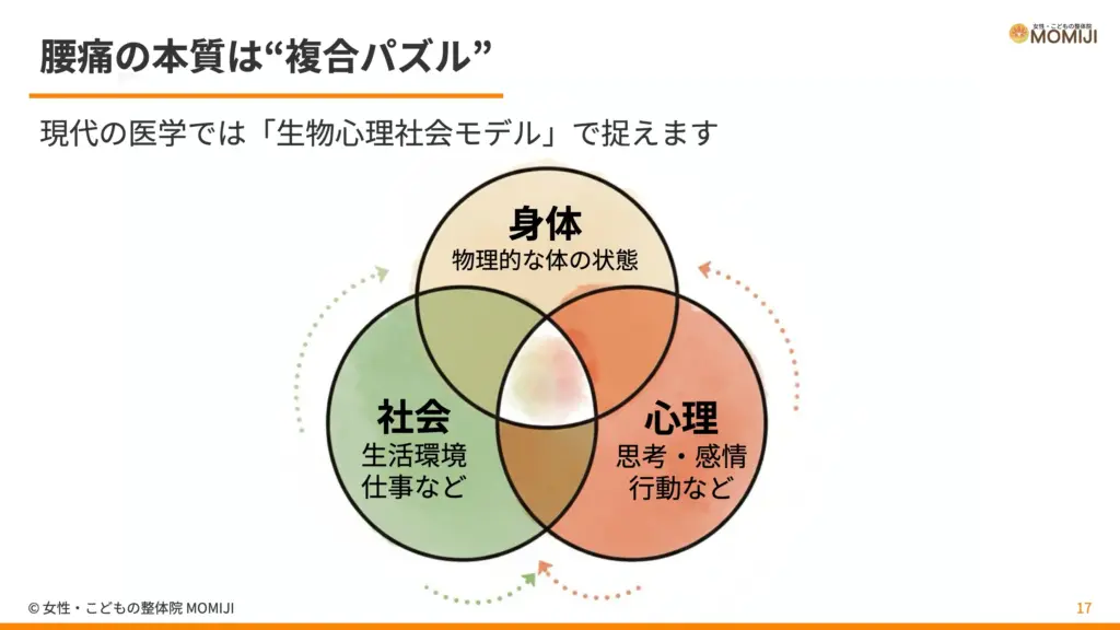 腰痛の本質は“複合パズル”