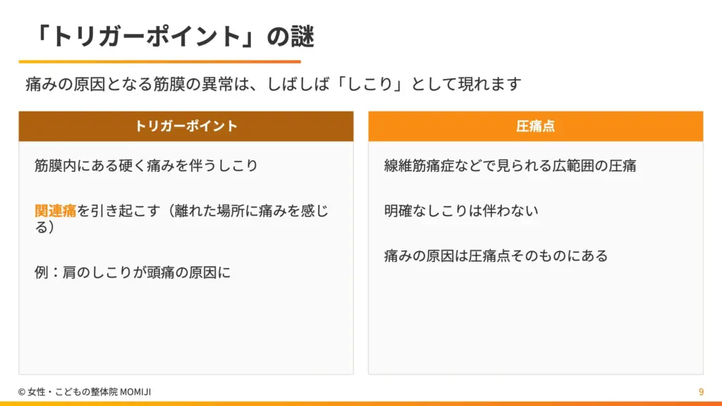 「トリガーポイント」の謎