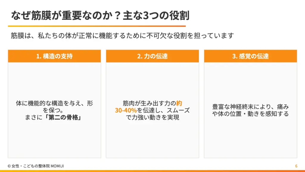 なぜ筋膜が重要なのか？主な3つの役割