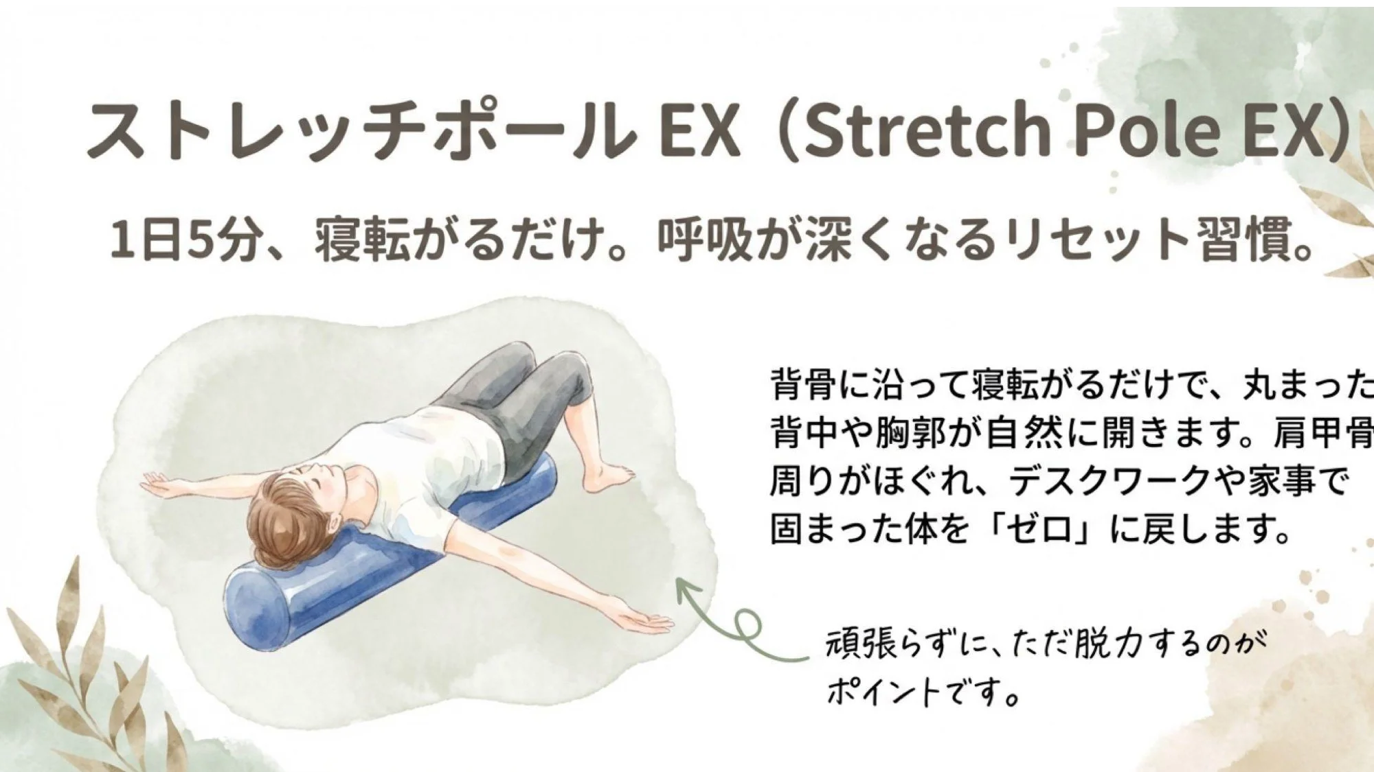 ストレッチポールEX