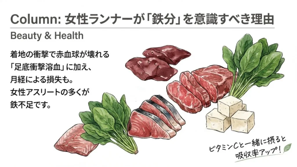 レバー・赤身肉・カツオ・ほうれん草・豆腐の水彩イラスト。女性ランナーが鉄分を意識すべき理由として、足底衝撃溶血と月経による鉄損失を説明。