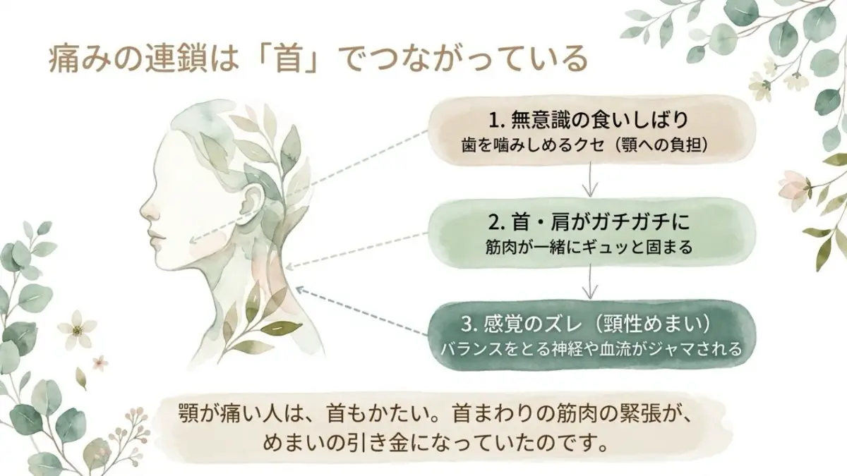 無意識の食いしばりによって首や肩の筋肉が固まり、感覚のズレが生じてめまいの引き金になるという、首を介した痛みの連鎖メカニズムについて解説したスライド。