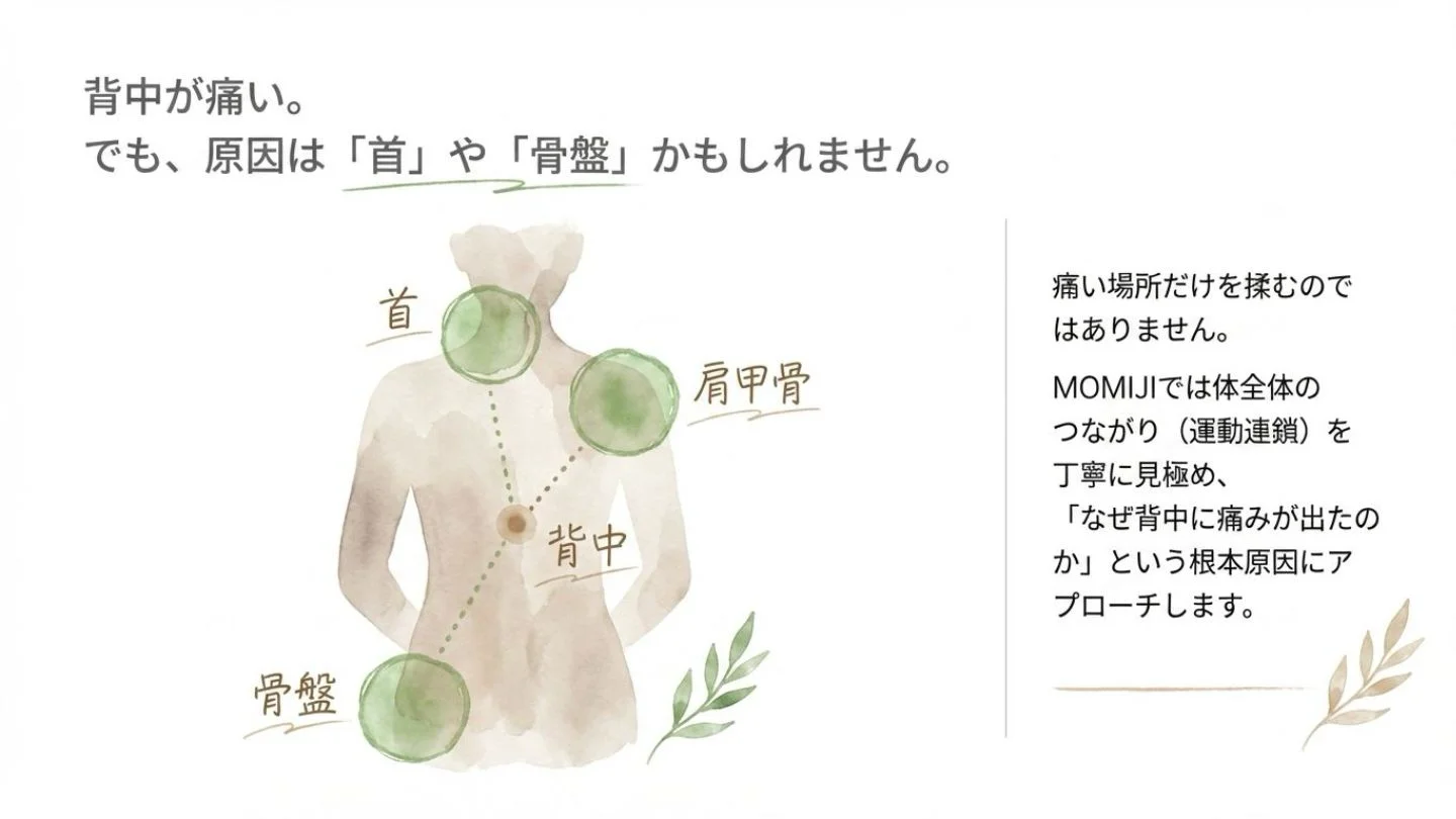 背中の痛みの原因が首や骨盤にある可能性を示唆しています 。痛い部分だけを揉むのではなく、体全体のつながりを見極めて根本原因にアプローチするMOMIJIの施術方針を説明しています 。