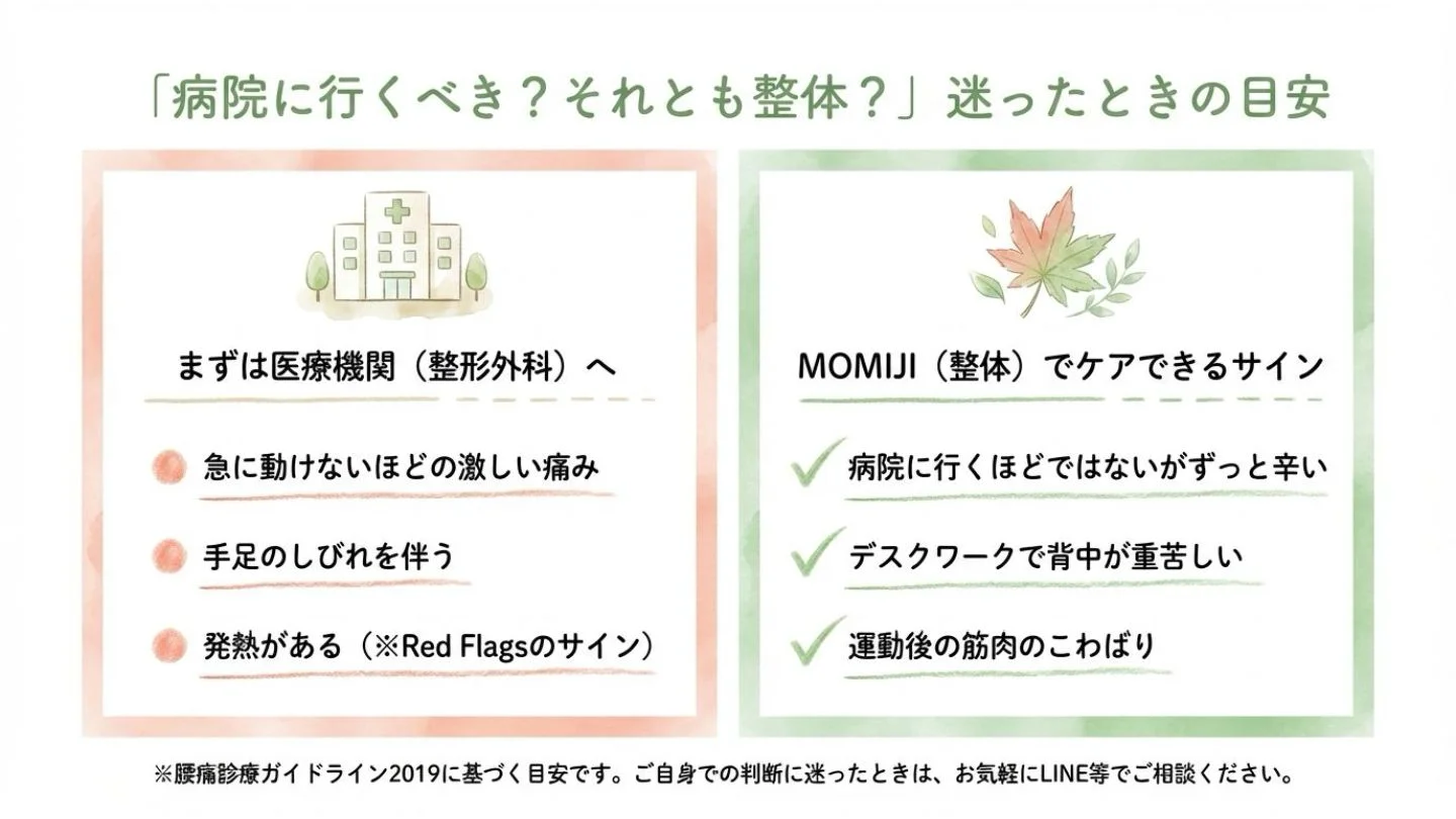 もみじのイラストを添えて、「病院に行くべきか整体か」迷った際の目安を解説しています 。激しい痛みやしびれ、発熱がある場合は医療機関へ 、慢性的な辛さやデスクワークの疲労などは整体院MOMIJIでケアできるサインであるとしています