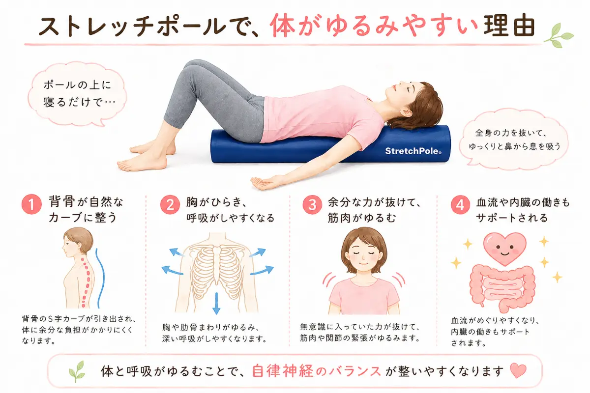 ストレッチポールに仰向けになる女性のイラストと、体がゆるむ4つの理由の解説。背骨が自然なカーブに整う、胸がひらき呼吸がしやすくなる、筋肉がゆるむ、血流や内臓の働きがサポートされるという効果により、自律神経のバランスが整いやすくなることを説明しています。