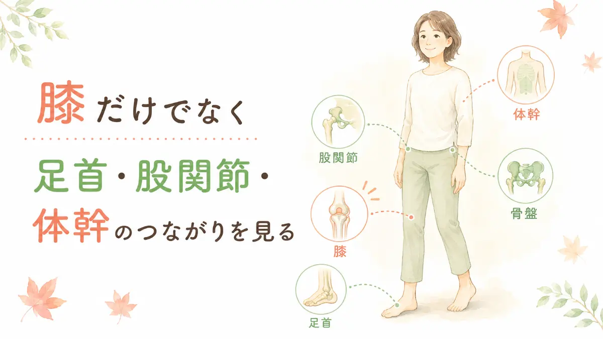 膝の痛みに対して、膝だけでなく足首、股関節、体幹、骨盤のつながりを見る重要性を解説した図。女性のイラストの周囲に、それぞれの部位の骨格パーツを示す円形アイコンが配置されています。