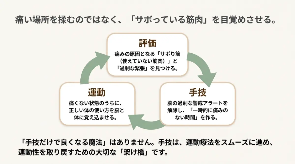 評価で働けていない筋肉と過剰な緊張を見つけ、手技で痛みのない時間をつくり、その間に正しい体の使い方を覚える流れを示した図