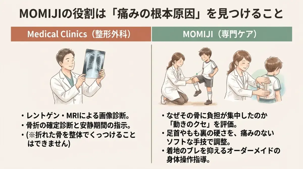 整形外科とMOMIJIの役割の違い。画像による評価と骨折の判断は医療機関、動きのクセの評価とソフトな手技はMOMIJI